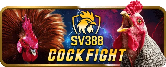 Mẹo để có trải nghiệm tốt nhất tại ww888 casino